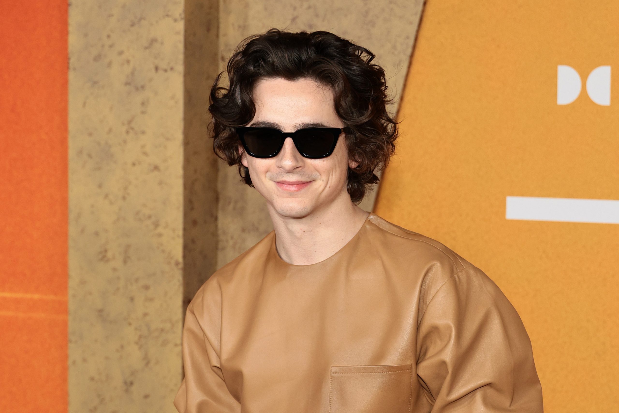 Timothée Chalamet: Οι πρώτες του φωτογραφίες ως Bob Dylan  1