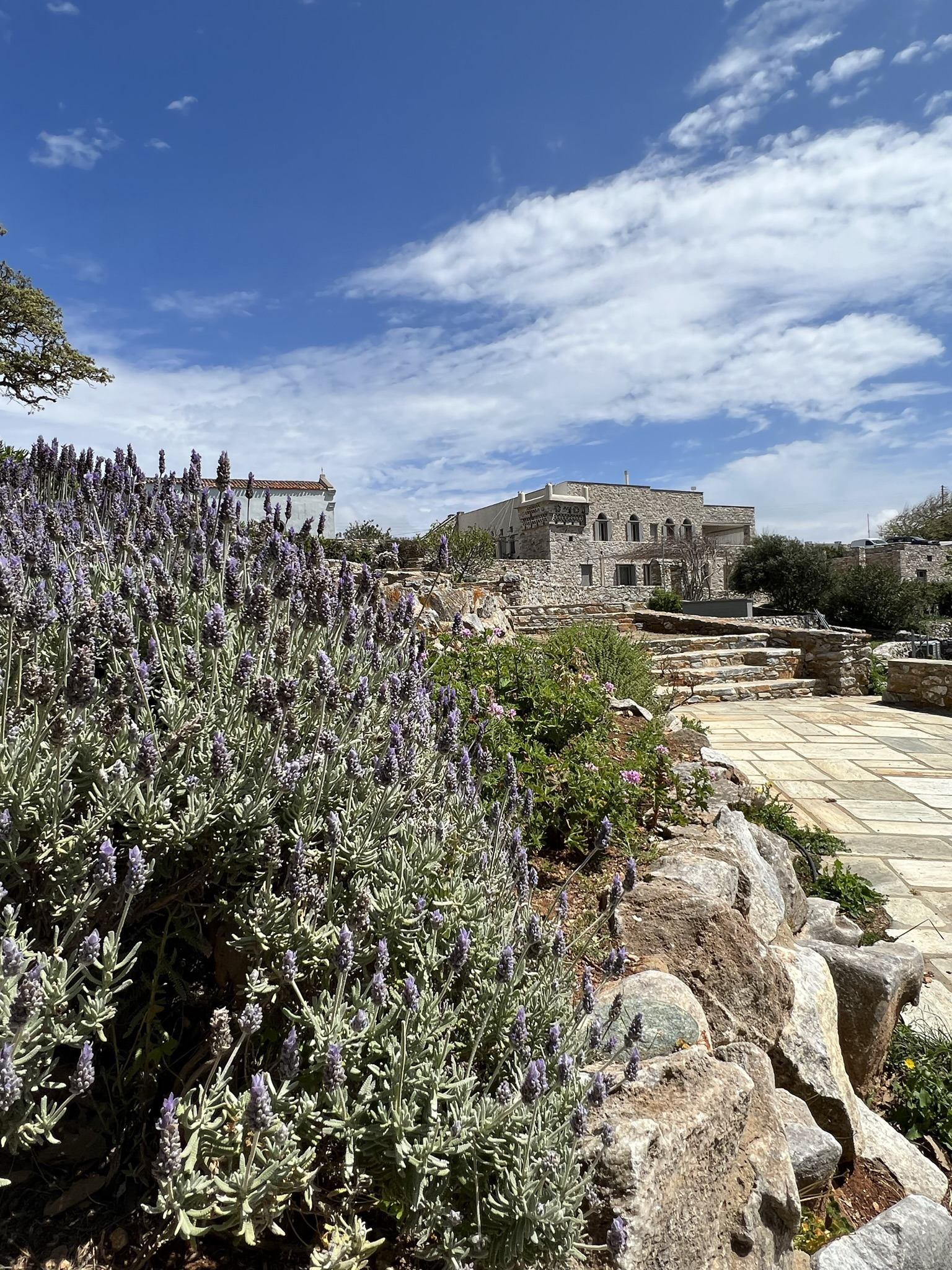 Η Μάγια Τσόκλη μας ξεναγεί στον ευλογημένο τόπο που λέγεται Τήνος 3