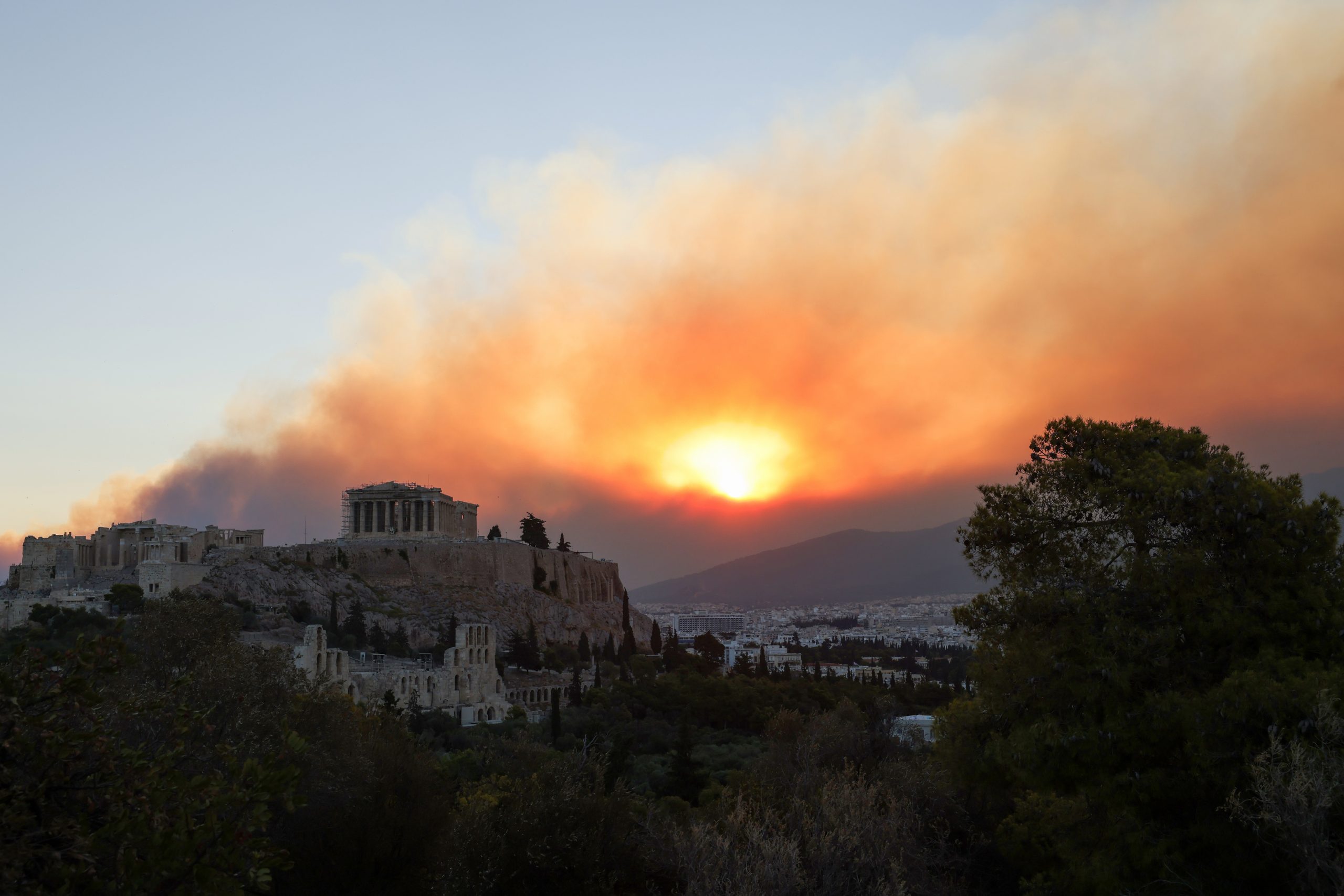 Φωτιά στην Αττική: Πώς μπορoύμε να βοηθήσουμε πυρόπληκτους και ζώα 3